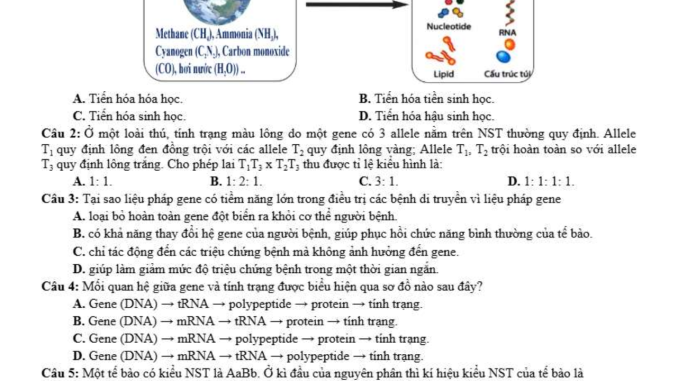 đề thi thử thpt môn sinh chuyên lê quý đôn