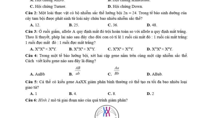 đề thi thử thpt môn sinh sở Vĩnh Phúc