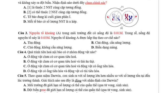 đề thi thử thpt môn sinh thành phố huế