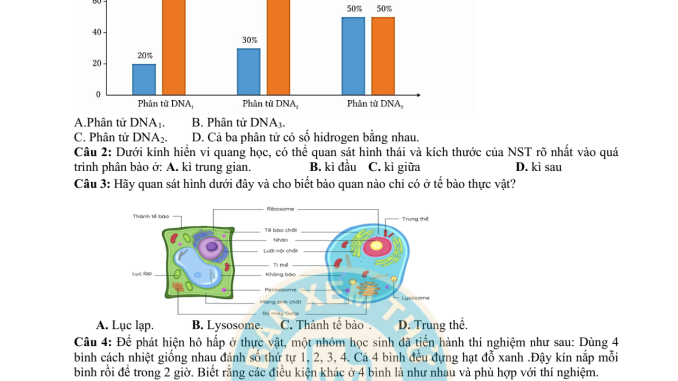 đề thi thử thpt môn sinh vũ văn hiêu nam định