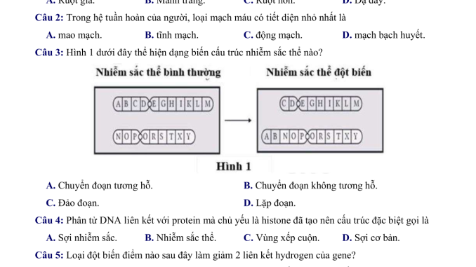 Đề thi thử THPT môn Sinh Sở Yên Bái