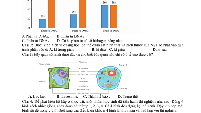 Đề thi thử THPT môn Sinh Vũ Văn Hiêu Nam Định