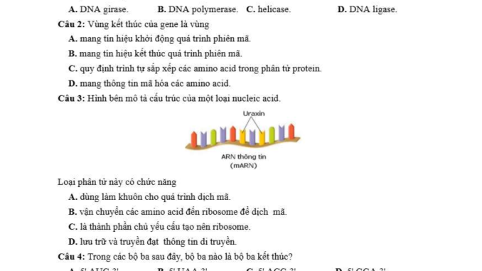 Đề thi thử THPT môn Sinh sở Ninh Bình